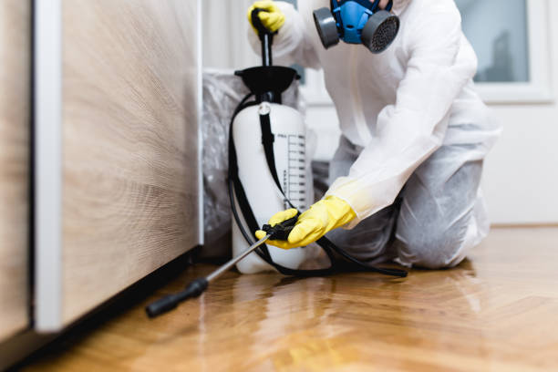 Best Wasp Removal Services  in Zolfo Springs, FL