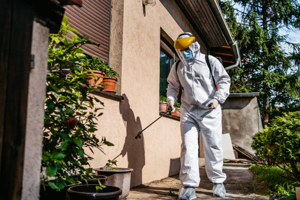 Professional Pest Control in Zolfo Springs, FL