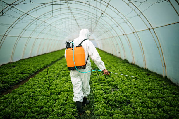 Pest Control for Restaurants in Zolfo Springs, FL