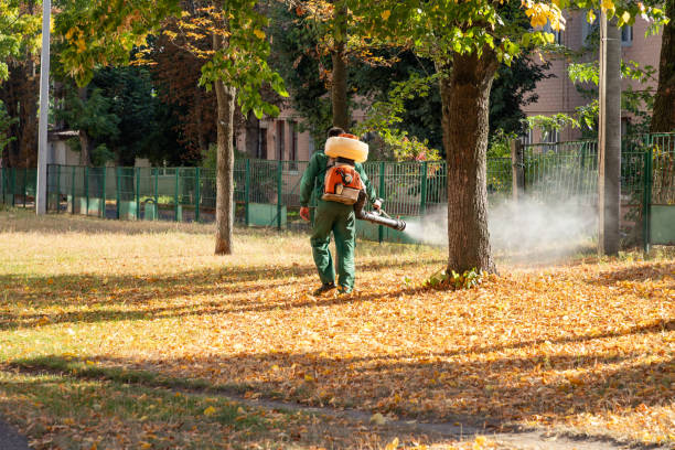 Best Affordable Pest Control Services  in Zolfo Springs, FL
