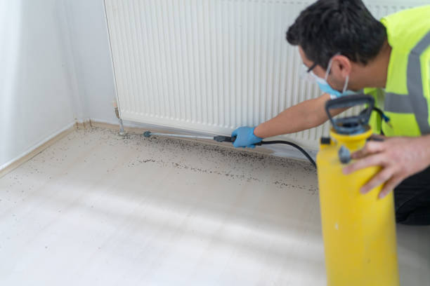 Best Emergency Pest Control  in Zolfo Springs, FL