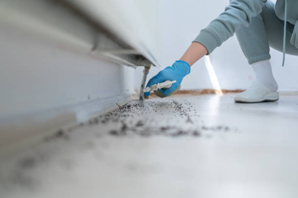 Bird Control in Zolfo Springs, FL
